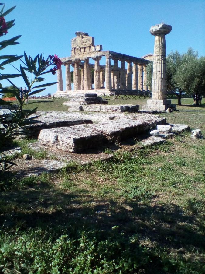 Mamena Panzió Paestum Kültér fotó