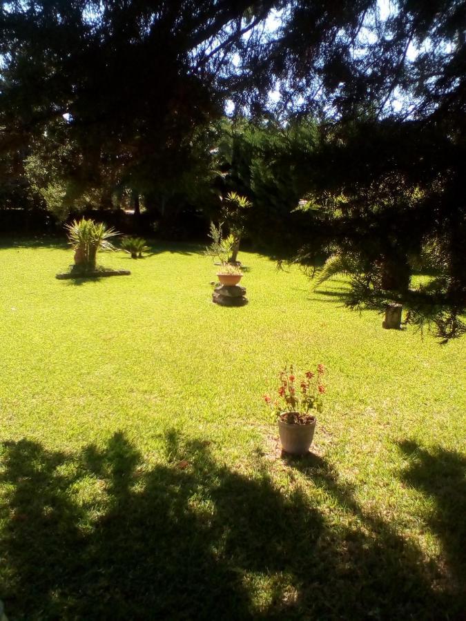 Mamena Panzió Paestum Kültér fotó